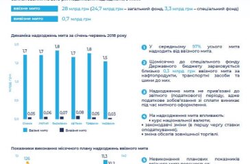 Мито: стан виконання за січень-червень 2018 року (інфодовідка)